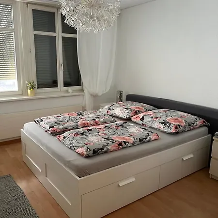 Апартаменты Over-night City-flat *